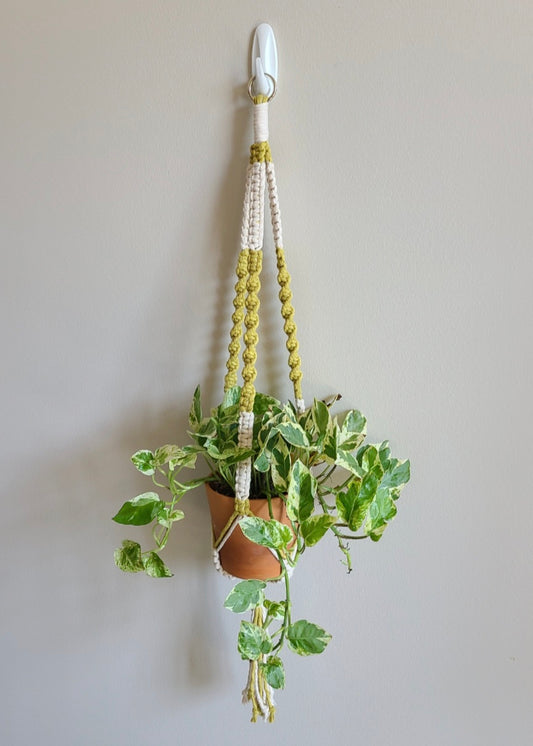 B101 - The Twist Plant Hanger (Two Tone)