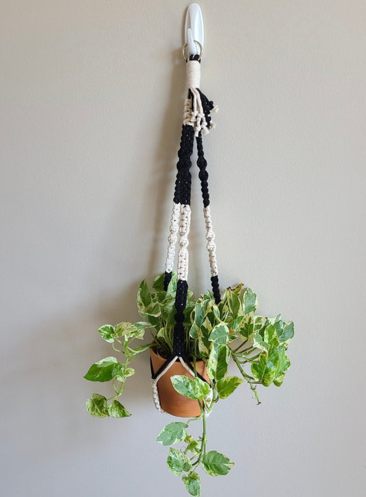 B102 - Tailless Plant Hanger (Two Tone)