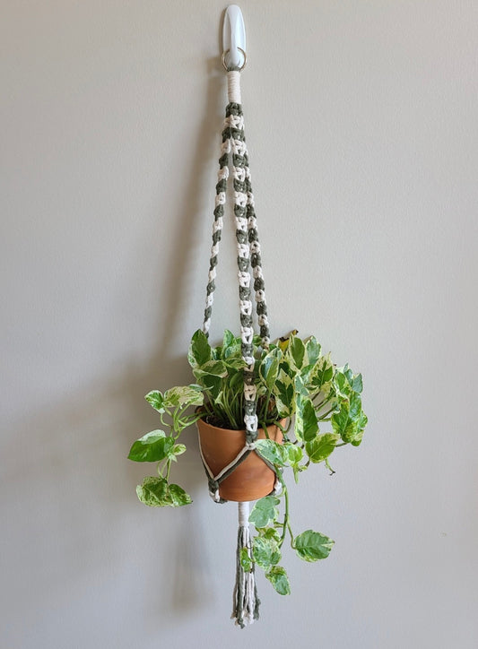 B103 - The Alt. Plant Hanger (Two Tone)