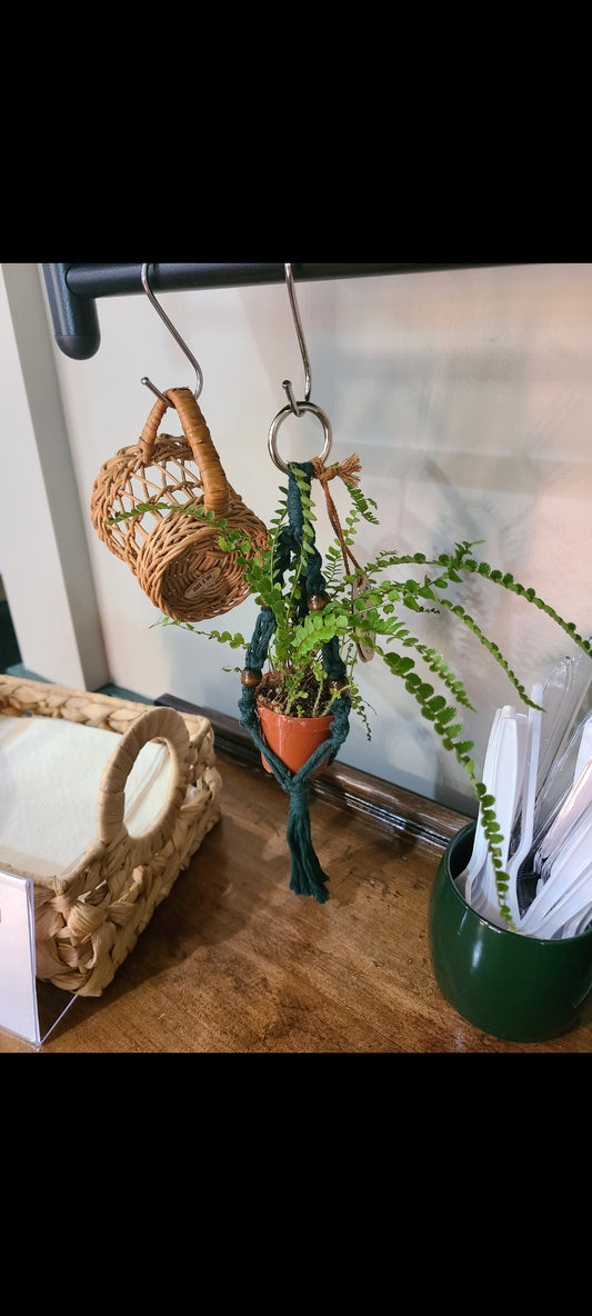 Mini Plant Hangers