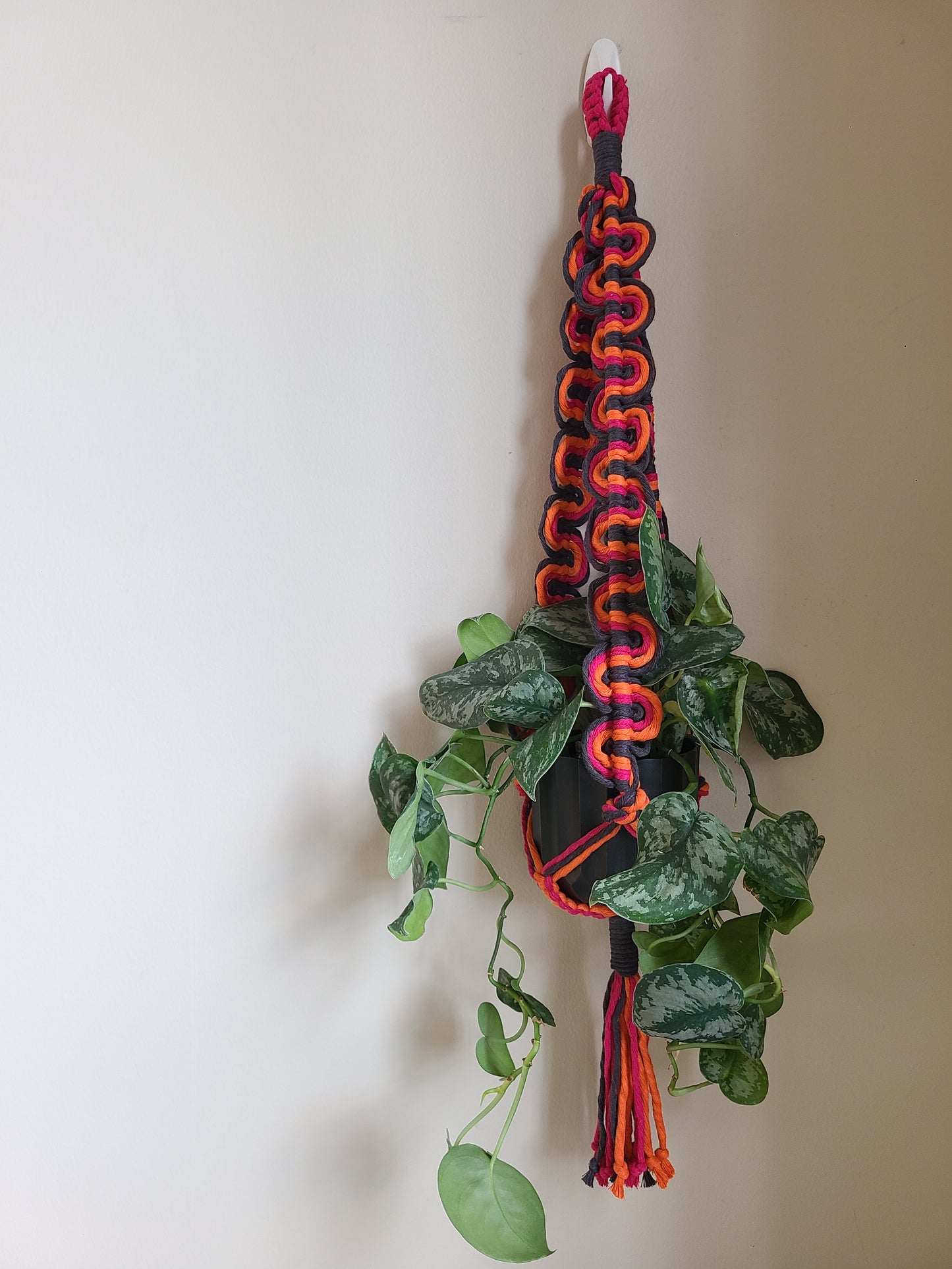 Retro Wave Plant Hanger