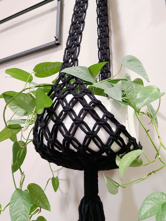 Plant Hanger with Bowl