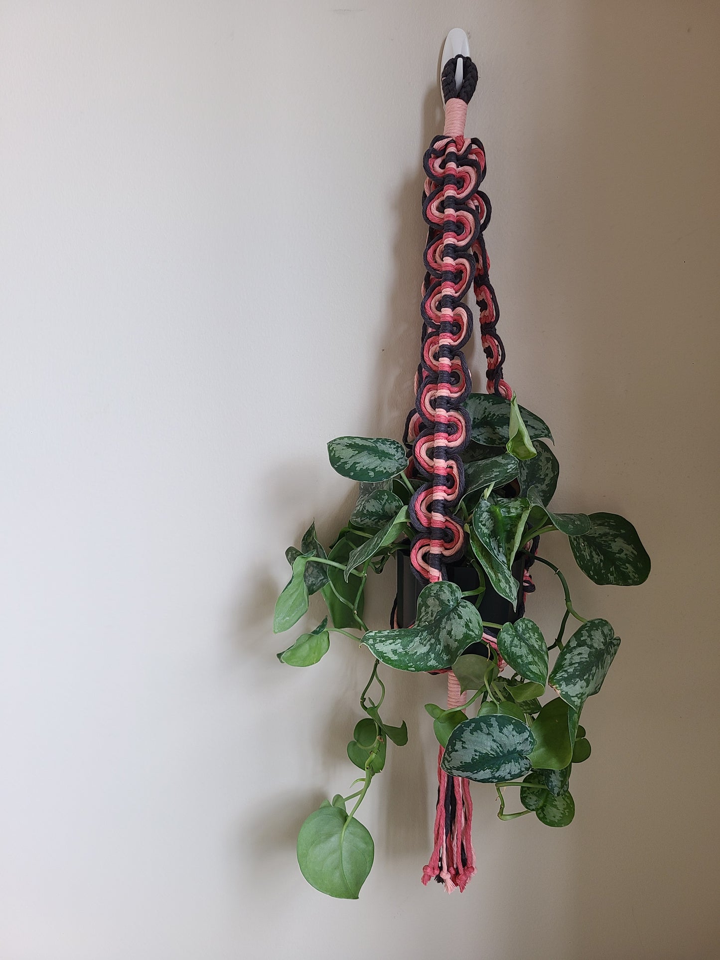 Retro Wave Plant Hanger