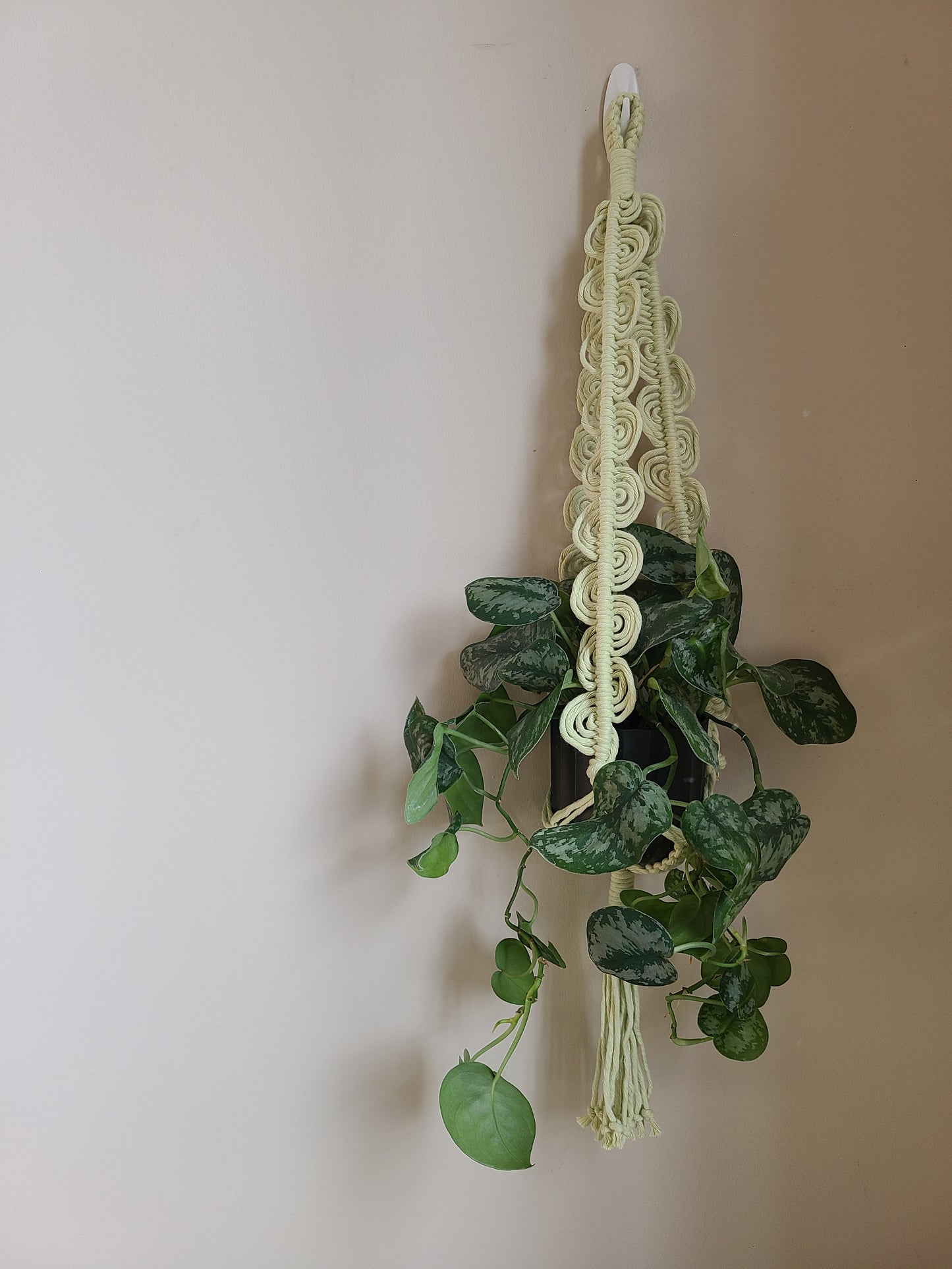 Retro Wave Plant Hanger