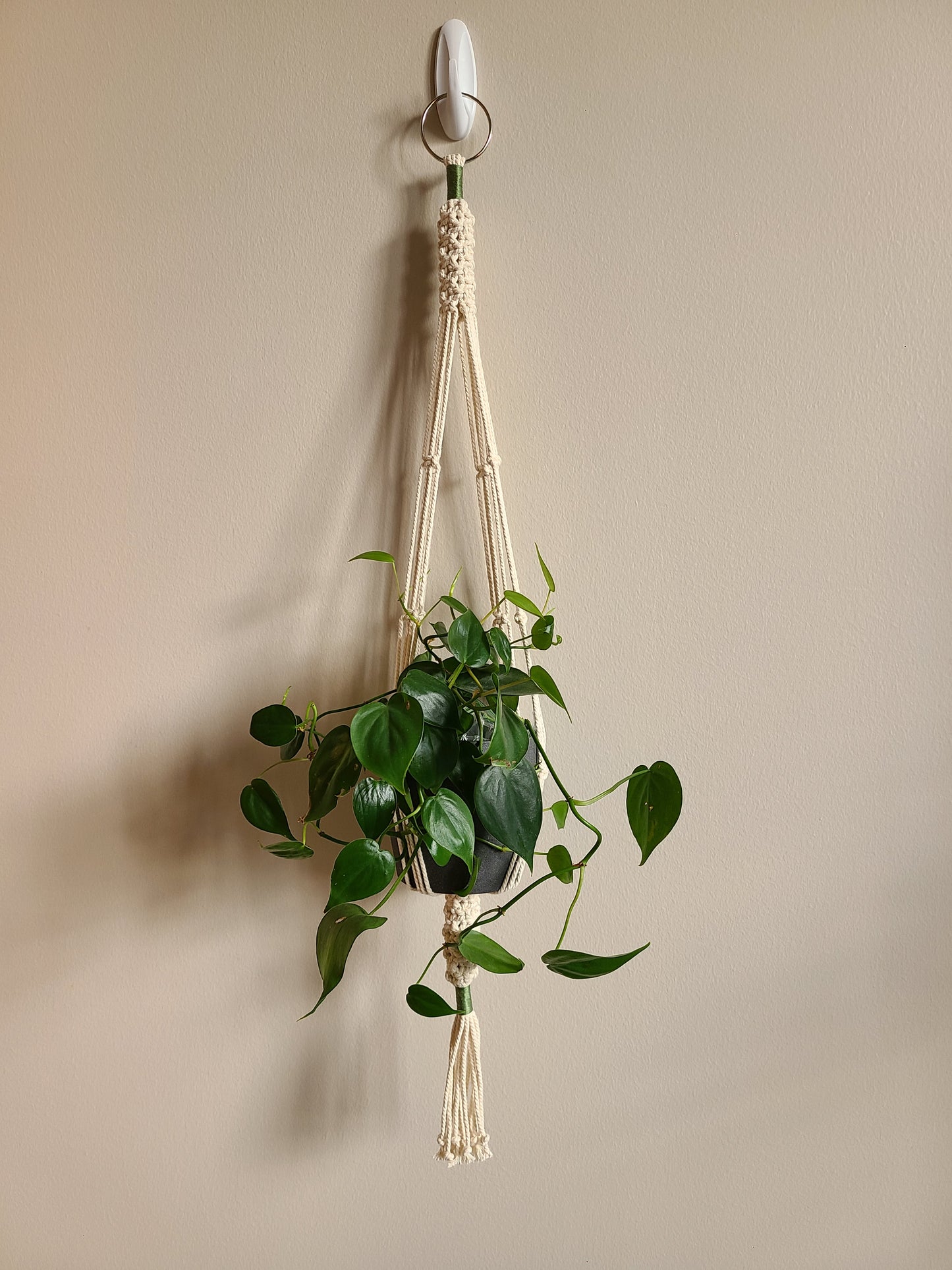 Throwback Minimalist Plant Hanger